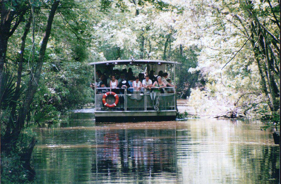 swamp boat new orleans